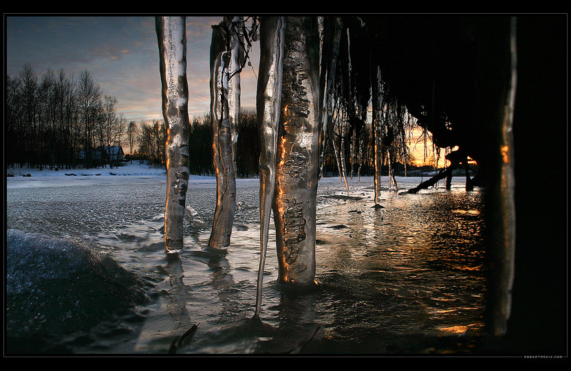 Køiálový les / Crystal Forest